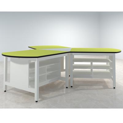 ������ʵ����